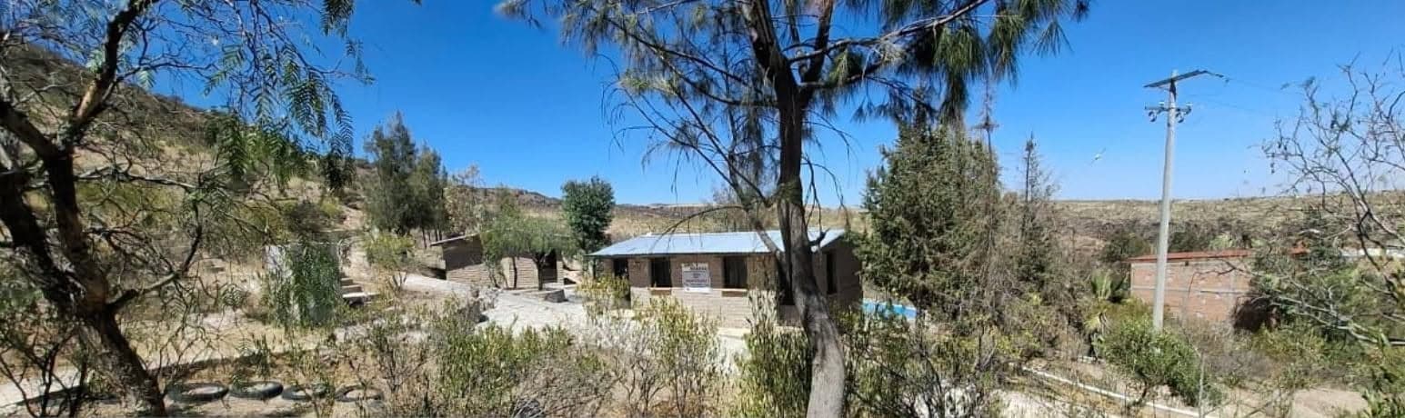 Vista del campamento entre árboles